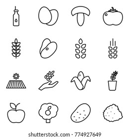 Thin line icon set : vegetable oil, eggs, mushroom, tomato, spikelets, beans, field, harvest, corn, seedling, apple, garden, potato, pile of garbage