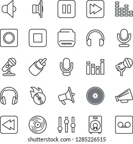 Thin Line Icon Set - vinyl vector, flame disk, microphone, speaker, loudspeaker, settings, equalizer, headphones, pause button, stop, fast forward, rewind, rca, hdmi, record