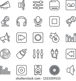 Thin Line Icon Set - vinyl vector, flame disk, microphone, speaker, loudspeaker, settings, equalizer, headphones, stop button, fast forward, rewind, rec, rca, hdmi, tuning, record, sound