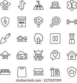 Thin Line Icon Set - vip vector, trowel, tree, seedling, ambulance star, barbell, mobile tracking, search cargo, pause button, protect, data exchange, house with, mailbox, fruit, smart home, crane