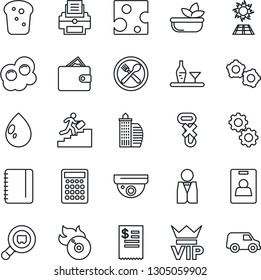 Thin Line Icon Set - vip vector, gear, notepad, water drop, no hook, search cargo, flame disk, identity card, printer, career ladder, office building, waiter, alcohol, cafe, salad, bread, omelette