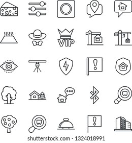 Thin Line Icon Set - vip vector, reception bell, tree, important flag, mobile tracking, search cargo, protect, tuning, record, bluetooth, eye id, house with, fruit, crane, estate insurance, cheese