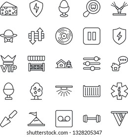 Thin Line Icon Set - vip vector, trowel, ambulance star, barbell, cargo container, search, vinyl, pause button, protect, tuning, record, data exchange, house with tree, fruit, egg stand, dress code