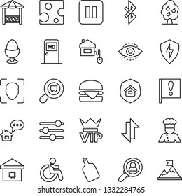 Thin Line Icon Set - vip vector, disabled, medical room, important flag, search cargo, pause button, protect, tuning, data exchange, bluetooth, face id, eye, fruit tree, smart home, estate insurance