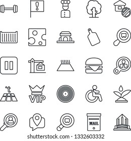 Thin Line Icon Set - vip vector, disabled, tree, barbell, important flag, mobile tracking, cargo container, search, vinyl, pause button, mailbox, crane, estate insurance, cook, cafe building, cheese