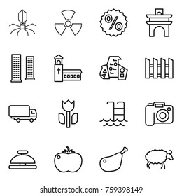 Thin line icon set : virus, nuclear, percent, arch, skyscrapers, church, modern architecture, fence, shipping, perishable, pool, camera, service bell, tomato, chicken leg, sheep