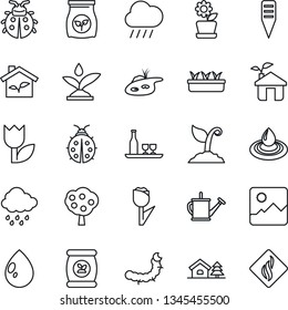 Thin Line Icon Set - watering can vector, sproute, lady bug, seedling, water drop, rain, plant label, caterpillar, fertilizer, tulip, gallery, house with tree, pond, fruit, flower in pot, alcohol