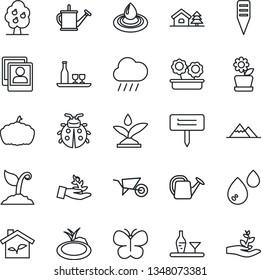 Thin Line Icon Set - watering can vector, wheelbarrow, sproute, butterfly, lady bug, rain, plant label, pumpkin, pond, photo gallery, house with tree, fruit, mountains, flower in pot, alcohol, eco