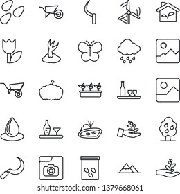 Thin Line Icon Set - wheelbarrow vector, sproute, butterfly, seedling, water drop, rain, sickle, pumpkin, seeds, tulip, gallery, photo, pond, windmill, fruit tree, mountains, alcohol, eco house