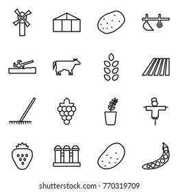 Thin line icon set : windmill, greenhouse, potato, plow, soil cutter, cow, spikelets, field, rake, grape, seedling, scarecrow, strawberry, grain elevator, peas