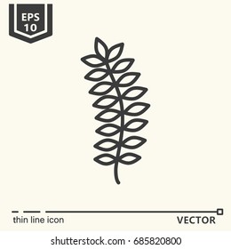 Thin line icon - tropical leaf. EPS 10 Isolated object