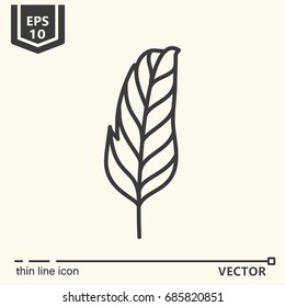 Thin line icon - tropical leaf. EPS 10 Isolated object