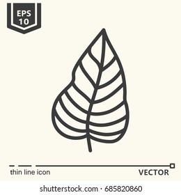 Thin line icon - tropical leaf. EPS 10 Isolated object