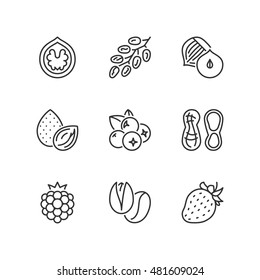 Thin line icons set about nuts & berries. Flat symbols