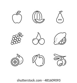 Thin line icons set about fruit. Flat symbols
