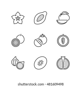 Thin line icons set about exotic fruit. Flat symbols