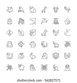 Thin line icons set. Flat symbols about animals