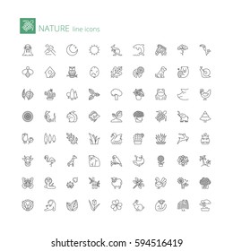 Thin line icons set. Flat symbols about nature, fauna and flora