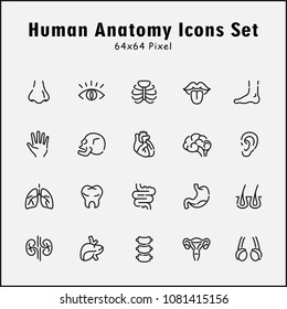 Thin line icons set of human anatomy, body parts. Editable vector stroke 64x64 pixel.