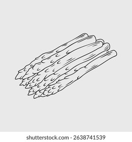 Thin line illustration of asparagus spears ready for cooking