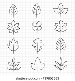 Thin line leaves collection on notebook page. Linear leaf, vector illustration