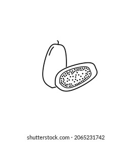 Thin line papaya(Carica papaya) icon isolated on white background.outline papaya fruit icon in flat design