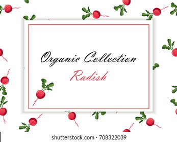 Thin line radish design, Vegetable food banner. radish sketch. Organic food poster. Symbol for sauce product label or grocery store, shop and farm market design. Vector square label.Organic collection