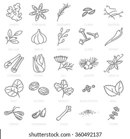 Thin line spices vector icon set