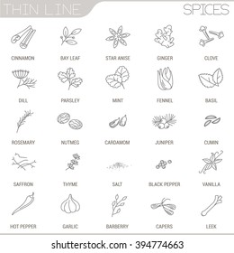 Thin line spices vector interface icon set.