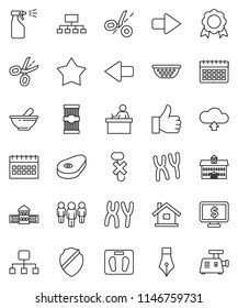 thin line vector icon set - sprayer vector, colander, pasta, steak, pen, university, school building, student, medal, man, hierarchy, calendar, monitor dollar, scales, no hook, finger up, mortar