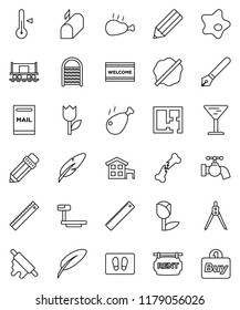 thin line vector icon set - water tap vector, splotch, welcome mat, washboard, rolling pin, thermometer, chicken leg, pen, pencil, ruler, drawing compass, Railway carriage, glass, tulip, big scales