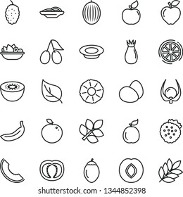 thin line vector icon set - eggs vector, slices of onion, a plate fruit, milk, strawberries, apricot, red apple, plum, rose hip, cornels, mulberry, melon, slice, banana, kiwi, tamarillo, delicious