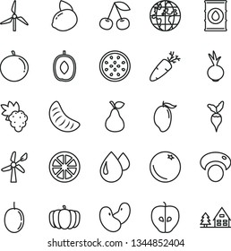 thin line vector icon set - beet vector, carrot, pear, orange, cherry, grape, tasty apple, mango, delicious plum, tangerine, slice of, passion fruit, yellow lemon, juicy, half, beans, mashroom, oil