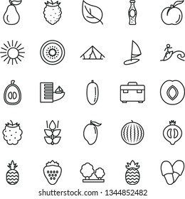 thin line vector icon set - suitcase vector, bottle of soda, strawberry, a pineapple, mint, ripe peach, plum, half medlar, blackberry, tasty raspberry, water melon, mango, date fruit, loquat, kiwi