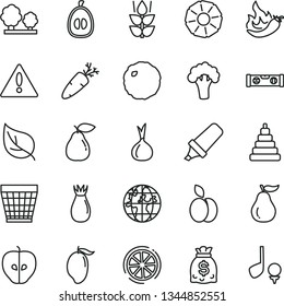 thin line vector icon set - warning vector, wicker pot, stacking toy, building level, cabbage, carrot, apple, mint, pear, tasty, rose hip, mango, half loquat, slice of lemon, pineapple, ripe guava
