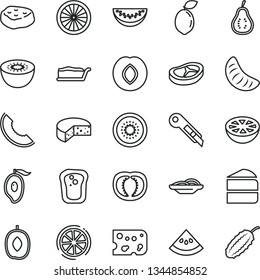 thin line vector icon set - stationery knife vector, piece of cheese, slices onion, cake, slice, bacon, meat, sandwich, plum, melon, half mango, delicious, water, tangerine, kiwi, sour lime, orange