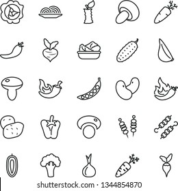 thin line vector icon set - fried vegetables on sticks vector, onion, mushroom, porcini, lettuce in a plate, meat skewers, cucumber, chili, peper, garlic, carrot, squash, sweet date fruit, hot, beet