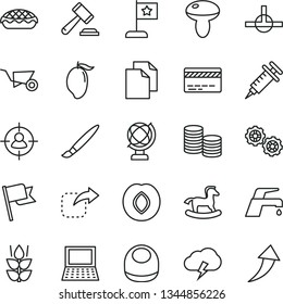 thin line vector icon set - tassel vector, bank card, hammer of a judge, clean paper, baby bib, small rocking horse, gears, building trolley, faucet mixer, globe, flag, storm cloud, move right, mint