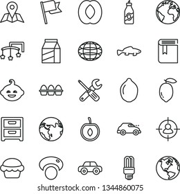 thin line vector icon set - sign of the planet vector, book, toys over cot, motor vehicle, funny hairdo, small tools, map, flag, nightstand, package, bundle eggs, cake, fish, liquor, half peach