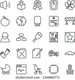 thin line vector icon set - baby stroller vector, summer, children's tracks, traffic signal, cardiogram, flowchart, volume, notes, unpacking, chicken thigh, small fish, sandwich, delicious apple