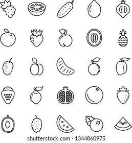 thin line vector icon set - cucumber vector, blueberries, strawberry, a pineapple, apple, orange slice, peach, half pomegranate, grape, quince, raspberry, of medlar, blueberry, mulberry, tasty, ripe