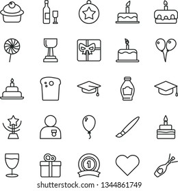 thin line vector icon set - tassel vector, colored air balloons, balloon, cake, birthday, heart, gift, square academic hat, Easter, muffin, torte, lollipop, glass, bottle, giftbox, gold cup, star