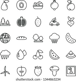 thin line vector icon set - cloud vector, rainy, loaf, mushroom, lettuce in a plate, orange slice, cherry, peach, half apricot, pomegranate, pear, tasty apple, medlar, raspberry, mulberry, beet