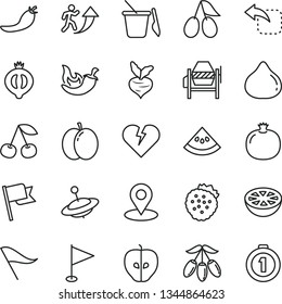thin line vector icon set - wind direction indicator vector, pennant, children's sand set, yule, concrete mixer, broken heart, flag, move left, chili, strawberries, cherry, apple, pomegranate, tasty