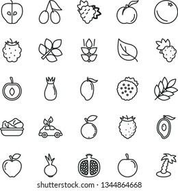 thin line vector icon set - lettuce in a plate vector, beet, strawberries, orange, mint, ripe peach, half pomegranate, grape, branch of, red apple, tasty, rose hip, cornels, blackberry, raspberry