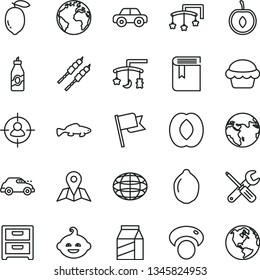 thin line vector icon set - sign of the planet vector, book, toys over cradle, cot, motor vehicle, funny hairdo, small tools, map, flag, nightstand, package, cake, barbecue, fish, liquor, half peach