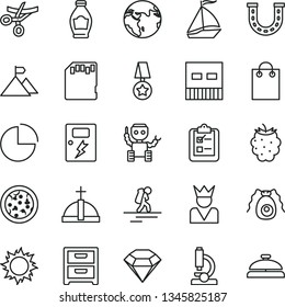 thin line vector icon set - pie chart vector, dangers, nightstand, survey, pizza, bottle, blackberry, bag, usb, sd card, microscope, bactery, robot, mountain flag, star medal, diamond, luck, king