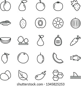 thin line vector icon set - eggs vector, slices of onion, carrot, fish, pear, honeycombs, apple, half apricot, grape, mulberry, water melon, slice, mango, loquat, tasty plum, passion fruit, eggplant