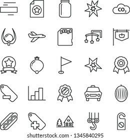 thin line vector icon set - minus vector, add label, remove, pennant, negative histogram, toys over the cot, winch hook, car, Hot Dog, medlar, melon, physalis, CO2, jar, vintage sign, sd card, medal