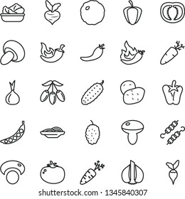 thin line vector icon set - slices of onion vector, mushroom, porcini, lettuce in a plate, meat on skewers, cabbage, cucumber, tomato, chili, peper, carrot, mulberry, goji berry, half, ripe pepper